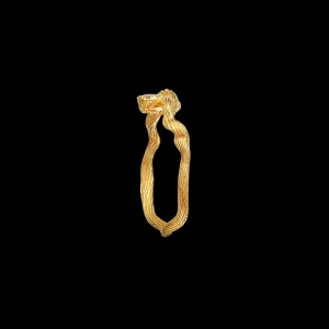 Best Ara Ring Ringer