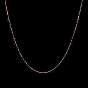 Cheap Charlie Medium Necklace Halskjeder