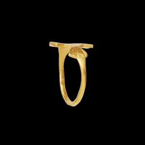 Online Fish Pond Ring Ringer