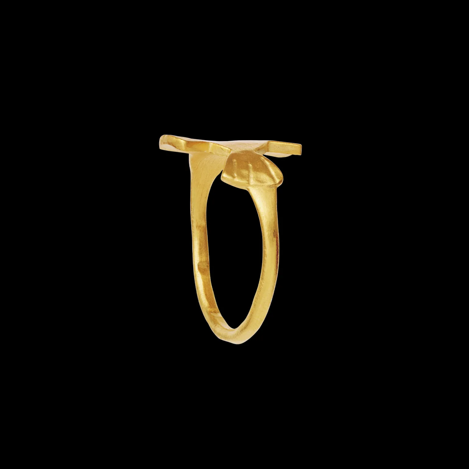 fish_pond_ring_2.webp Online Fish Pond Ring Ringer