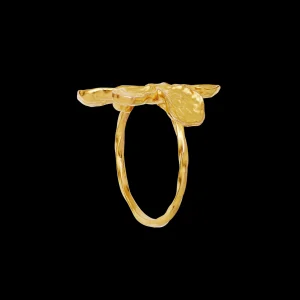 Cheap Fraisa Ring Ringer