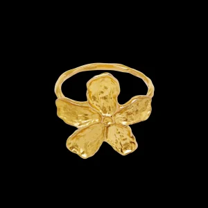 Cheap Fraisa Ring Ringer