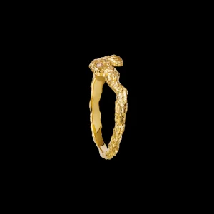 Shop Frida Ring Ringer