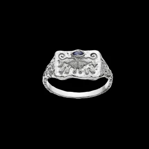 New Gry Ring Ringer