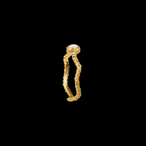 Best Lisa Ring Ringer