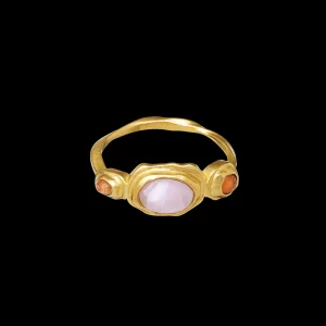 Online Nemo Ring Ringer