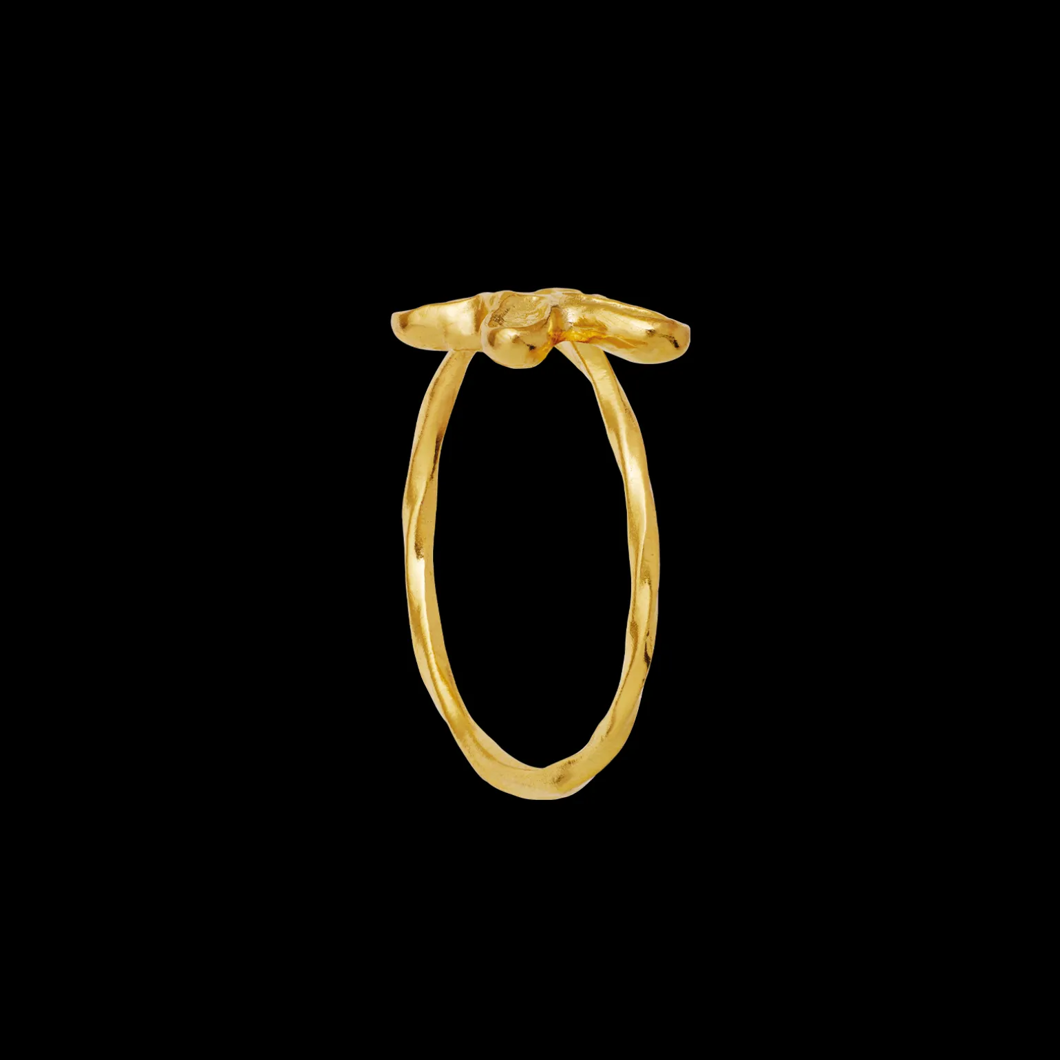 pepe_ring_1.webp Flash Sale Pepe Ring Ringer