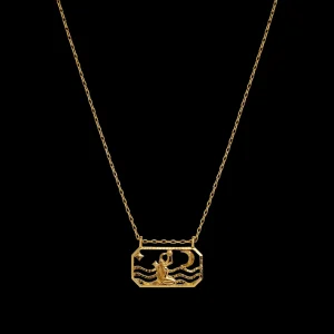 Discount Zodiac Aquarius Necklace 20. Jan - 18. Feb Halskjeder