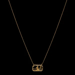 Flash Sale Zodiac Capricorn Necklace 22. Dec - 19. Jan Halskjeder