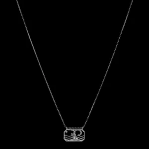 Hot Zodiac Capricorn Necklace 22. Dec - 19. Jan Halskjeder