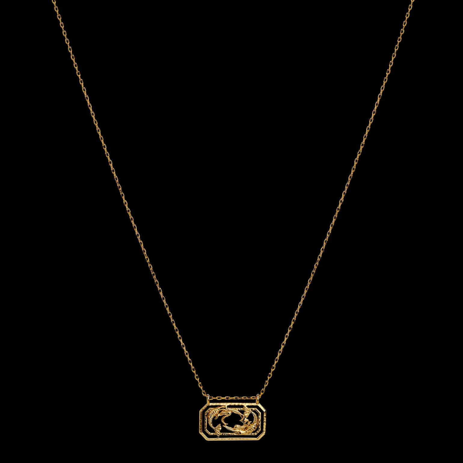 zodiac_pisces_necklace__f_1.webp Clearance Zodiac Pisces Necklace 19. Feb - 20. Mar Halskjeder